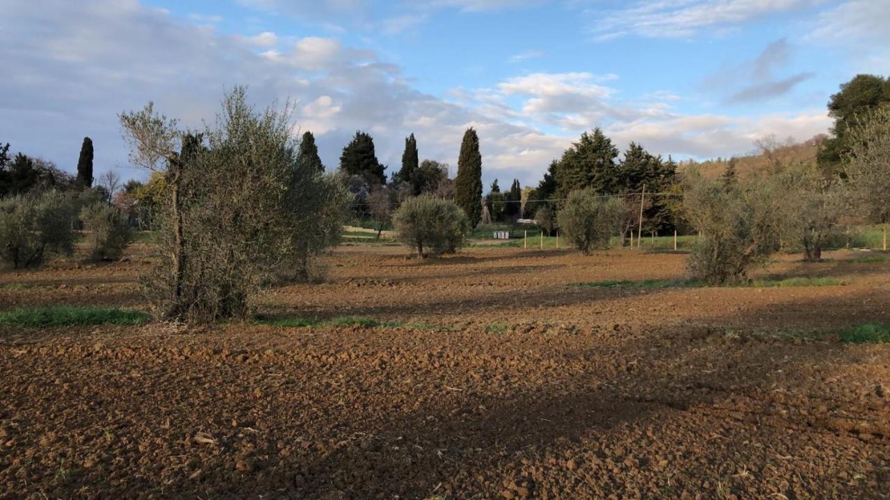 Agriturismo Il Broletto Suvereto Exterior foto